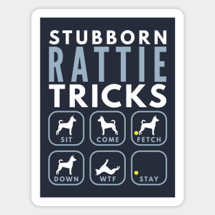 Stubborn Rat Terrier Tricks - Dog Training Magnet